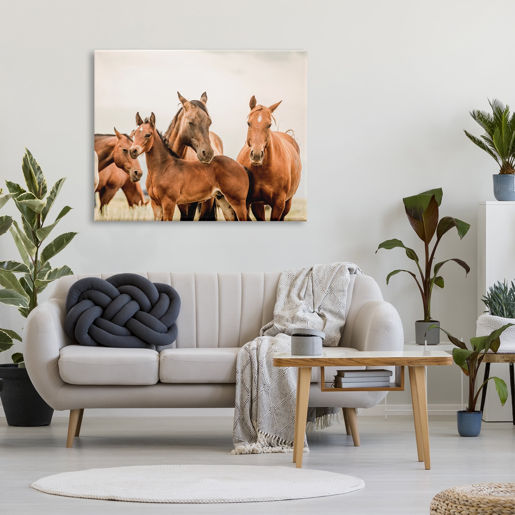 Stupell Industries Horse & Foals Photography Animals & Insects Photography Gallery Wrapped Canvas Art Print Wall Art, 48 x 36