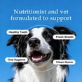 thumbnail image 4 of Dental Water Additive for Dogs, Natural Flavorless Teeth Cleaning Mouthwash, Freshens Breath & Healthy Gums, Easy Daily Pet Dental Care, 4 of 6