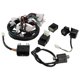 thumbnail image 3 of Motorcycle Electrical Wiring Harness Cable for Honda Jiling Lifan, 3 of 5