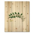 thumbnail image 3 of Designart 'Ancient Plant Life XVIII' Farmhouse Print on Natural Pine Wood, 3 of 5