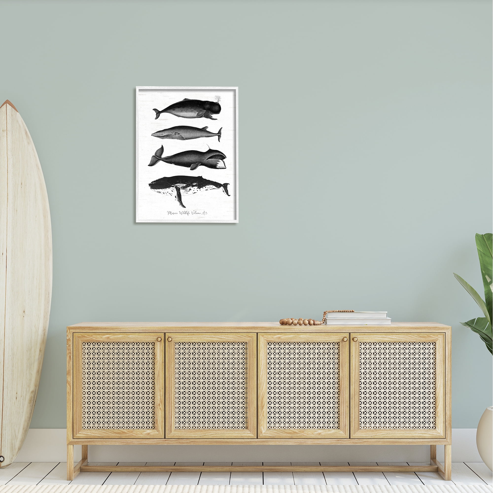 Stupell Industries Marine Wildlife Whales Drawings Diagram Weathered Pattern Graphic Art White Framed Art Print Wall Art, Design by Lettered and Lined
