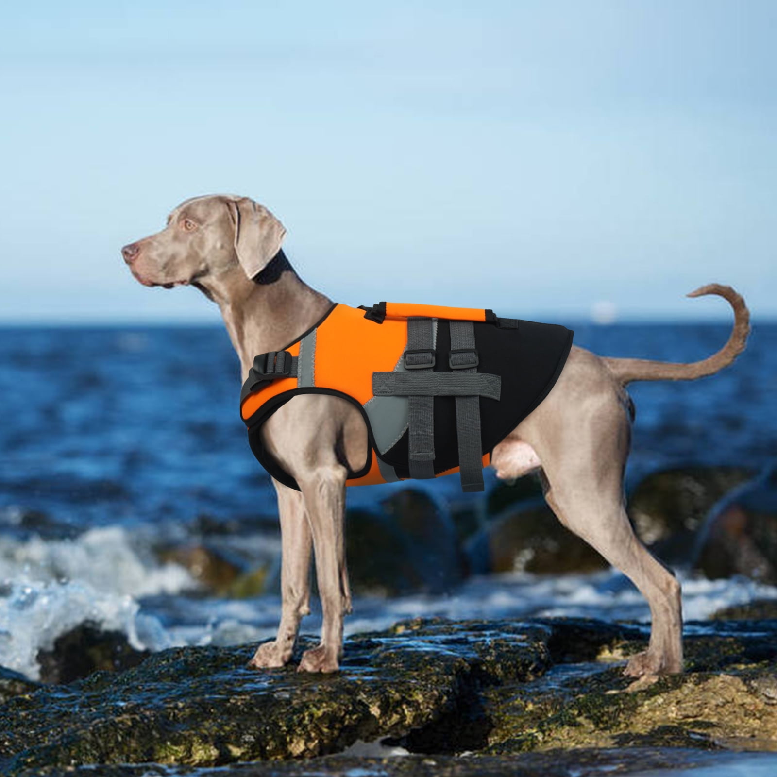 Kuoser Dog Life Jacket with Reflective Strips, Adjustable Life Vest for Small Medium Large Dogs, Orange, L