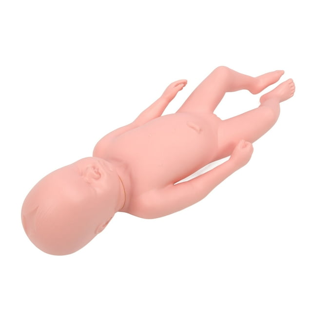 Newborn Model, Educational Lifelike Full Term High Simulation Baby Simulator Doll for Training for Medical Colleges