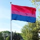 thumbnail image 5 of Bandera de arco iris de 3 x 5 pies, orgullo gay, paz lesbiana, LGBT, pancarta impresa con ojales (bisexual), 5 of 6