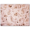 thumbnail image 1 of Picture-Tiles.com: Flowers Ceramic Tile Wall Mural WAL500630-43S. 17"W x 12.75"H using (12) 4.25" x 4.25" Ceramic Tiles-Satin Finish, 1 of 3