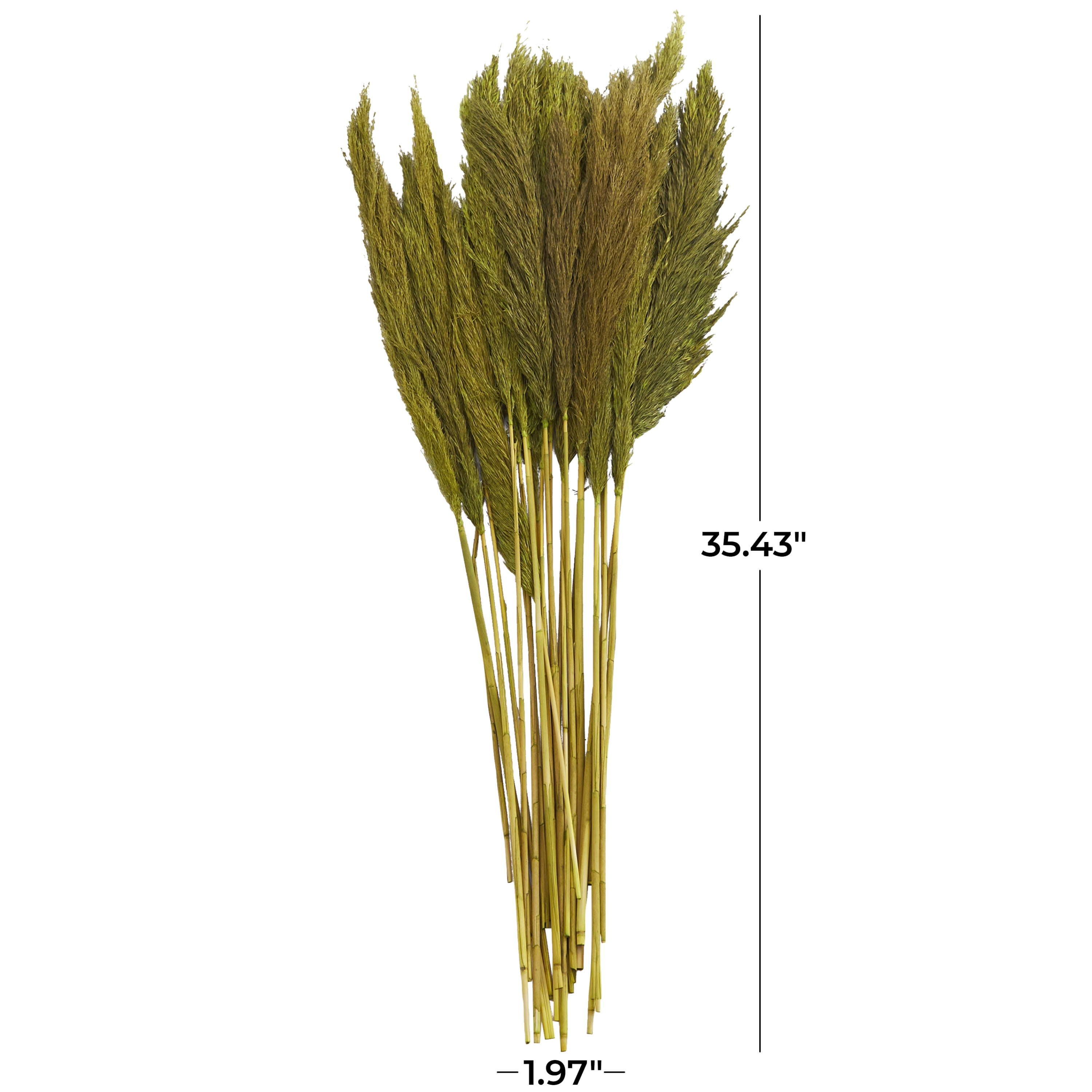 35" Dried Plant Natural Foliage Pampas Bouquet with Long Stems, by DecMode