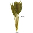thumbnail image 3 of 35" Dried Plant Natural Foliage Pampas Bouquet with Long Stems, by DecMode, 3 of 7