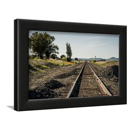 California, Sacramento River-San Joaquin Delta Area, Mcavoy Harbor Framed Print Wall Art By Alison Jones