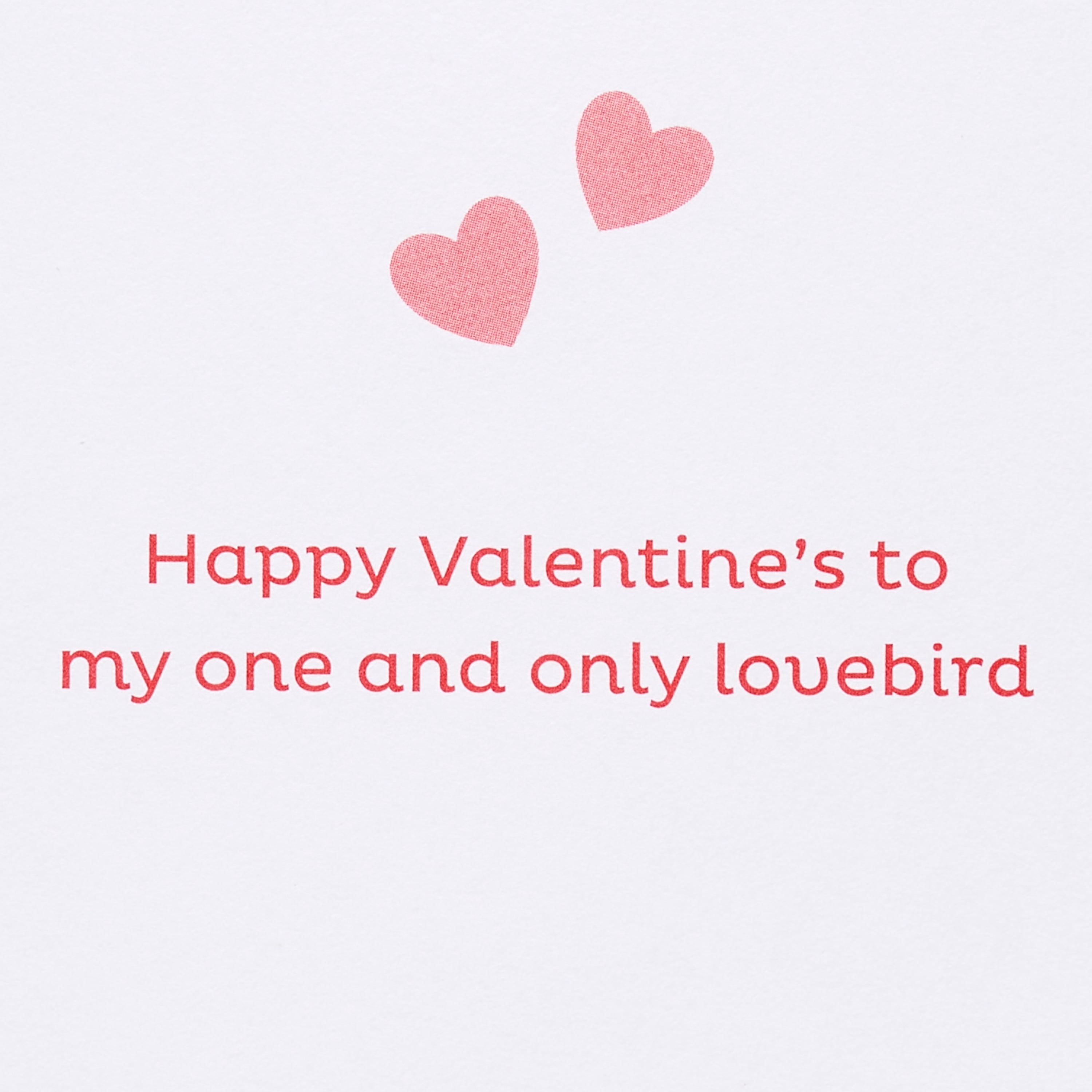 American Greetings Valentine's Day Card for Husband (Parakeet Couple)