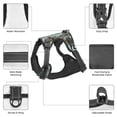 thumbnail image 6 of Lsque Astronauts On Lunar Mission Dog Harness, No-Pull Pet Harness with 2 Leash Clips, Adjustable Soft Padded Dog Vest with Easy Control Handle for Large Dogs-Large, 6 of 9