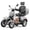 Silver, variant on 4 Wheel Mobility Scooters for Seniors, Adult Scooter with 800W Motor, Heavy Duty Electric Scooter with 500 lb Capacity, 31 Miles Long Range and Speed Adjust Medical Scooter