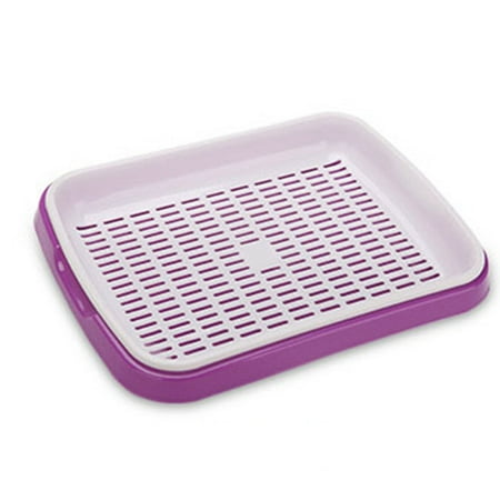 Easter Veggie Tray Double Layer Sprouting Vegetable Plate Bud Seedling Tray Bean Sprout Soilless Culture Tool ()