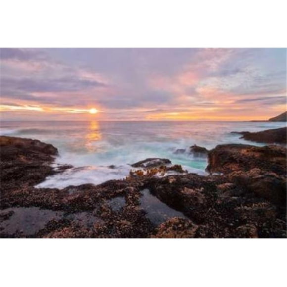 Image Conscious PDXM1300DLARGE Natures Palette Poster Print by Natalie Mikaels, 24 x 36 - Large