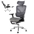 thumbnail image 1 of BeesClover Ergonomic High Back Mesh Office Chair, Desk Chair with 3D Adjustable Armrests, Lumbar Support & Smooth Rolling Wheels, Comfortable Task Chair for Home Office, Work, Study, or Gaming, 1 of 11
