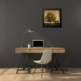thumbnail image 4 of Pinto, Patricia 20x20 Black Modern Framed Museum Art Print Titled - Aged Tree II, 4 of 5