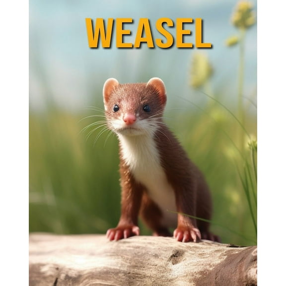 Weasel: Fun Facts Book for Kids, (Paperback)