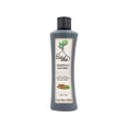 thumbnail image 1 of Shampoo Árbol Verde anticaspa canela y menta 500 ml, 1 of 2