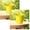 A231 B 5.1" 2Pack, variant on 2Pcs Small Metal Bucket With Handle – Durable Mini Pail For Home Garden And Crafts Home Textile Storage 5.1"