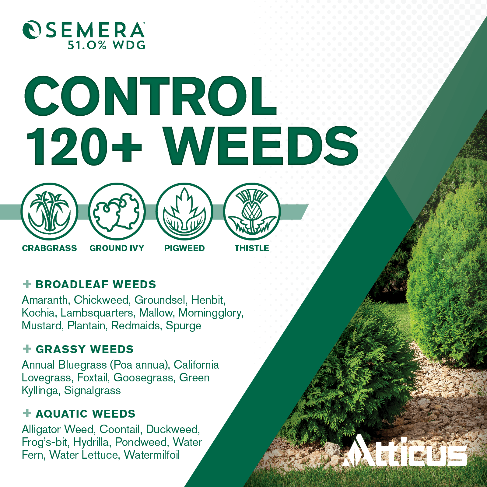 Semera 51.0% WDG Aquatic Herbicide (1 lb)  – Controls Duckweed & Unwanted Vegetation - Flumioxazin 51% by Atticus