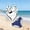 Navy, variant on RTKFRFLM Girls 2-Piece Bikini Set with Padded Top Tropical Print Bathing Suit for Ages 7-16 Summer Beach Swimwear