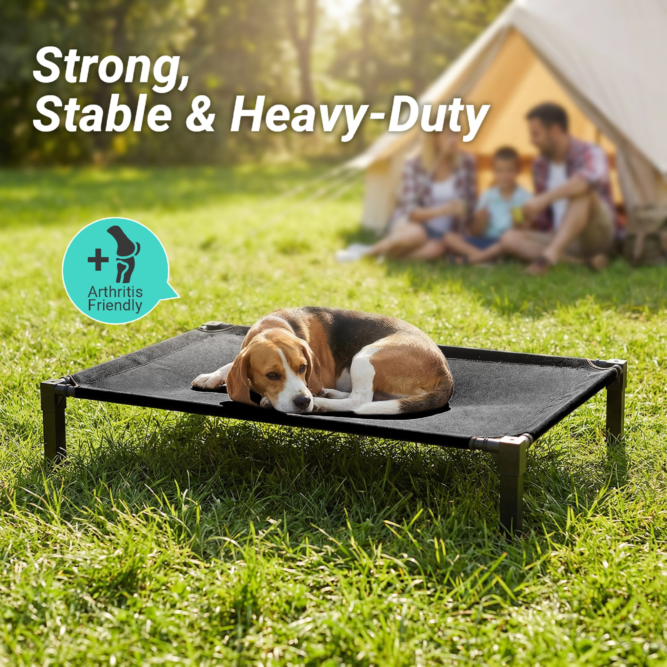 Elevated Dog Bed, Cooling Raised Bed, Portable&No-Slip for Outdoor or Indoor Use, Black, Large, 51"L x 36"W x 9.3"H