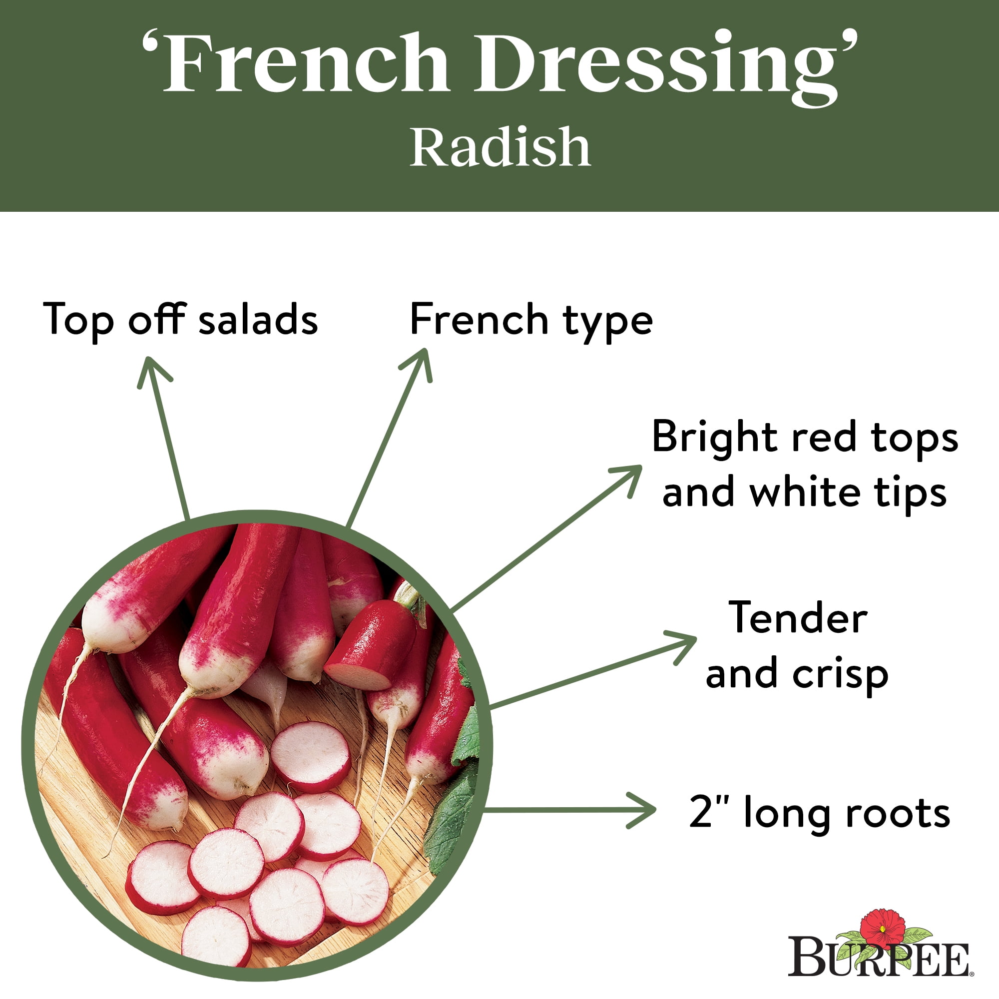 Burpee French Dressing Radish, Plant Seeds for Home Garden