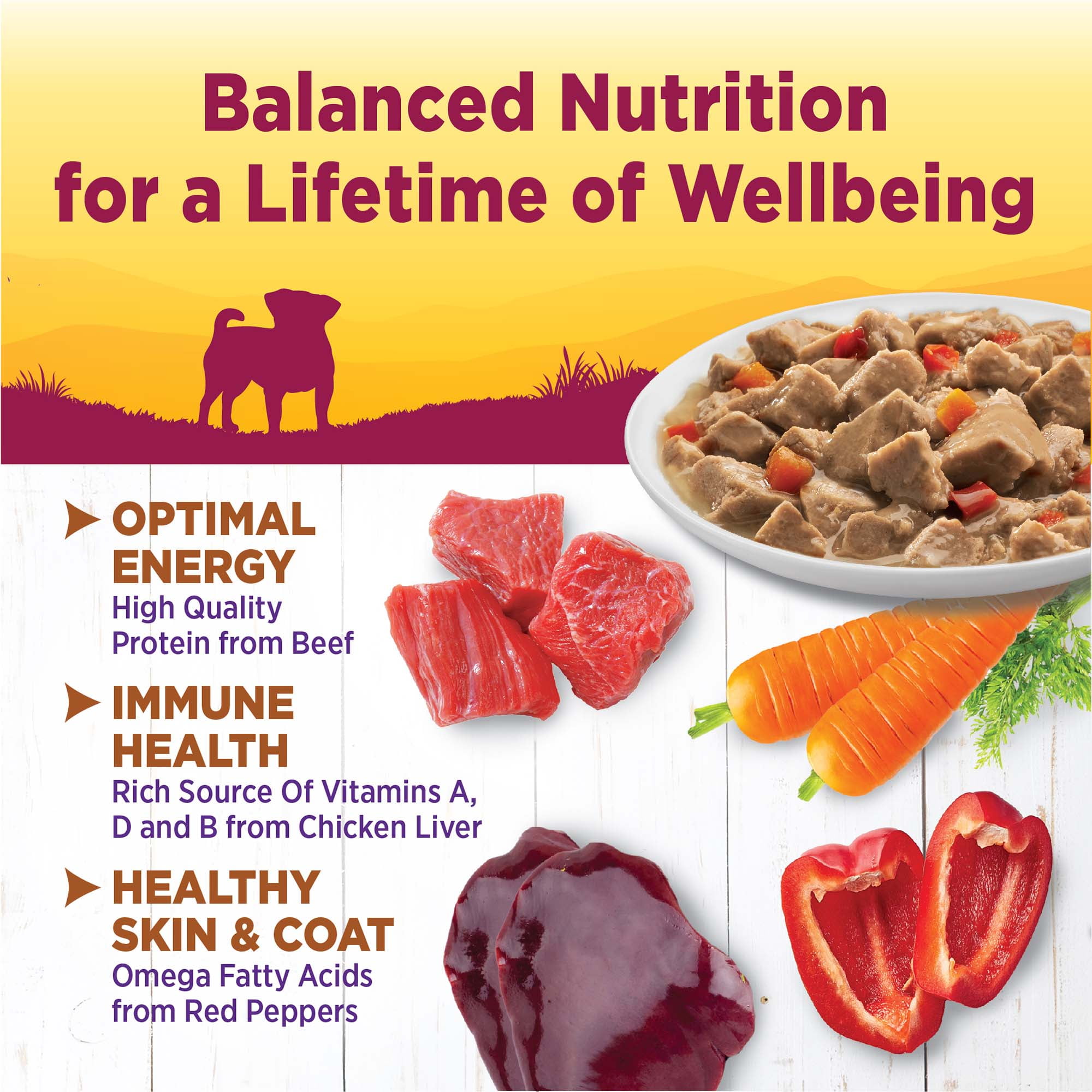 Wellness Petite Entrées Mini Fillets Grain Free Natural Wet Small Breed Dog Food, Roasted Beef, Carrots & Red Peppers, 3-Ounce Cup (Pack of 24)