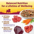 thumbnail image 4 of Wellness Petite Entrées Mini Fillets Grain Free Natural Wet Small Breed Dog Food, Roasted Beef, Carrots & Red Peppers, 3-Ounce Cup (Pack of 24), 4 of 7