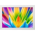 thumbnail image 2 of Stephen Chambers 32x23 White Modern Wood Framed Wall Art Titled - Flower25, 2 of 6