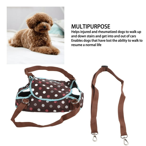 Harness to best sale carry large dog