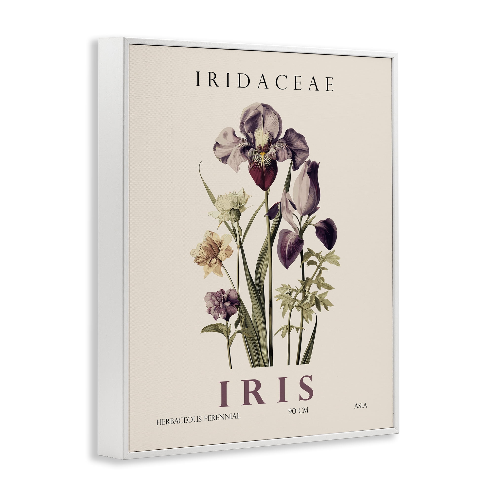Stupell Industries Natural Iris Bundle White Framed Giclee Art, design by Christopher Giampietro