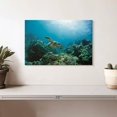 thumbnail image 2 of Elephant Stock Sea Turtle In Maui Wall Art - Horizontal Canvas Wall Art - Living Room Wall Decor - Animal Canvas - Teal And Turquoise Decor - 12" x 8", 2 of 8