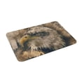 thumbnail image 2 of XMXT Non-Slip Polyester Bathroom Rugs Kitchen Door Mat, Eagle Vintage Watercolor Machine Washable Bath Mats Rug for Kitchen Shower Bathtub Decor, 15.7 x 23.6 inches, 2 of 9