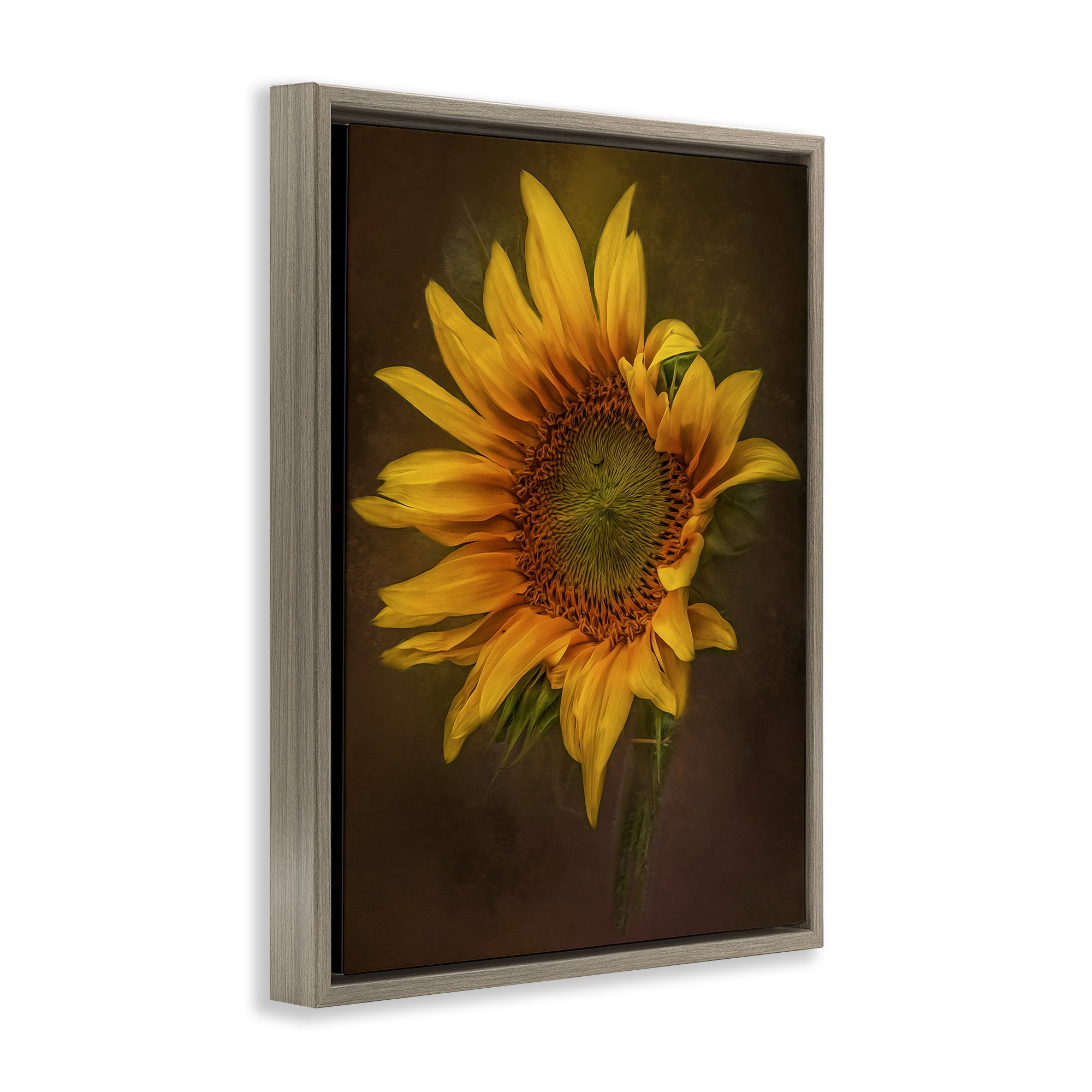 Stupell Industries Curling Petals Sunflower Plants & Flowers Painting Brown Floater Framed Canvas Art Print Wall Art, 25 x 31