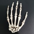 thumbnail image 5 of 1 par de manos de plástico de esqueleto de Halloween, esqueleto de garra de calavera, manos de hueso aterradoras para decoración de Halloween, 5 of 5