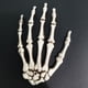 thumbnail image 5 of 1 par de manos de plástico de esqueleto de Halloween, esqueleto de garra de calavera, manos de hueso aterradoras para decoración de Halloween, 5 of 5