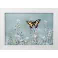 thumbnail image 1 of Sabol, Petar 14x11 White Modern Wood Framed Museum Art Print Titled - Swallowtail beauty, 1 of 4