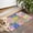 Pioneer Flower Floral-4, variant on Pioneer Flower Floral Print Pattern Door Rugs,Washable Non Slip Door Mats Indoor,Decorative Door Mats,Entry Mat Indoor for Entrance,Bedroom,Kitchen,Bathroom,17"x30"