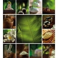 thumbnail image 3 of Spa Duvet Cover Set, Collage of Candles Stones Herbal Salts Towels Botanic Plants Design Print, Decorative 3 Piece Bedding Set with 2 Pillow Shams, Calking Size, Green White and Brown, by Ambesonne, 3 of 3