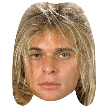 David Lee Roth (80s) Celebrity Mask, Flat Card Face, Fancy Dress Mask