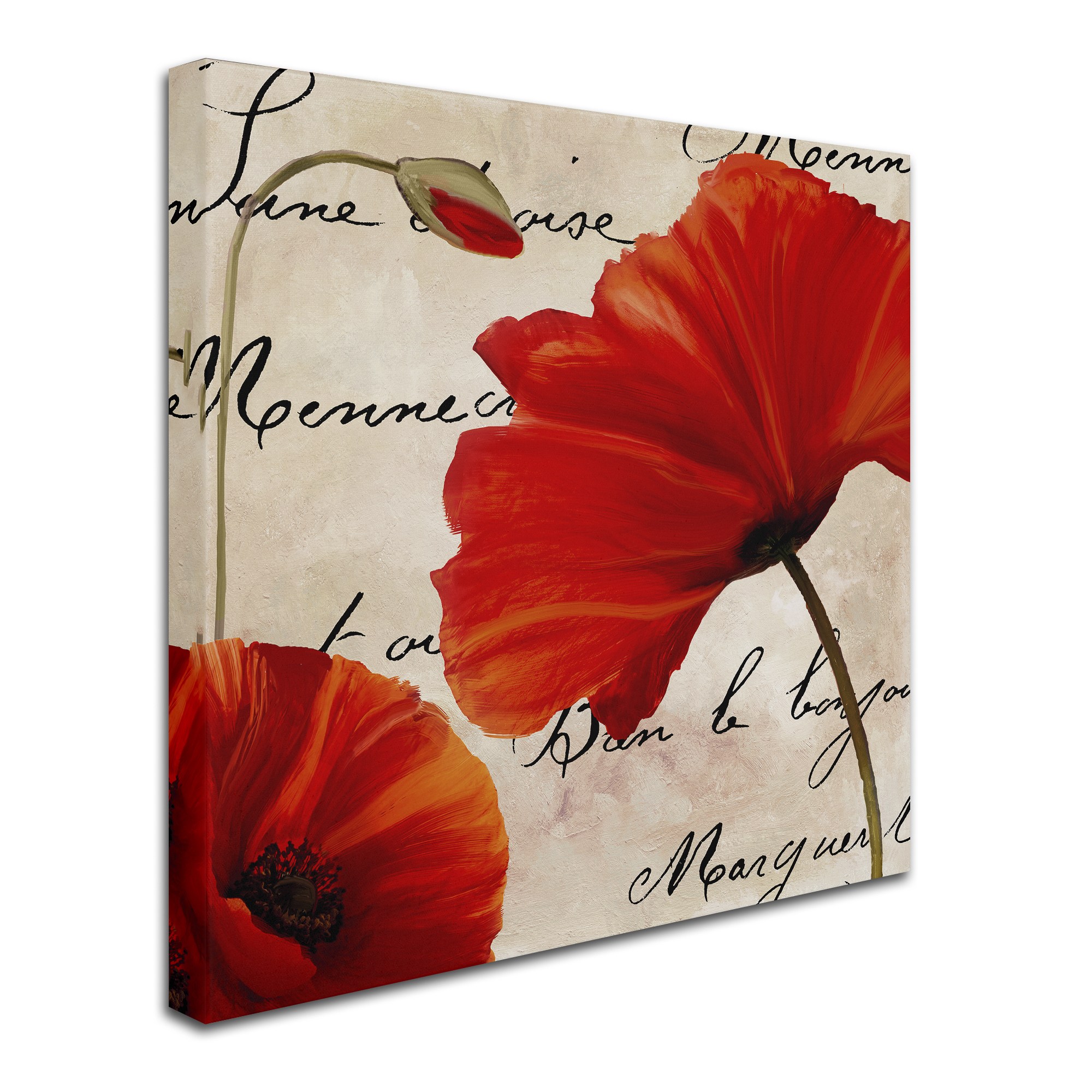 Trademark Fine Art "Coquelicots Rouge II" Canvas Art by Color Bakery