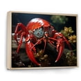thumbnail image 2 of Designart "Scarlet Mantis Shrimp Portrait" Coastal Coral Under Water Floater Framed Wall Art Prints, 2 of 5