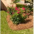 thumbnail image 5 of Premium Long Needle | Pine Straw Mulch | 300 Sqft, 5 of 6