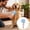 Blue, variant on Ice Grooming Brush Massage Silicone Comb for Bathing and Shedding Control with Ergonomic Handle for Cats and Small Animals Pet Supplies