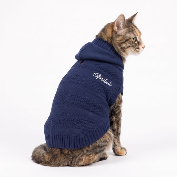 Vibrant Life Holiday Waffle Knit Spoiled Sweater for Dogs and Cats, Blue, S