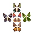 thumbnail image 1 of Vogacara Flying Trick Estampado floral Transform Fantasy Prop Throwing Banda de goma para el desarrollo Powered Mystical Toy Cumpleaños Juegos de césped, 1 of 6