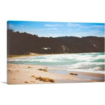 ARTCANVAS Seagulls Flying Walking on a Beach Canvas Art Print - Size: 26" x 18" (0.75" Deep)