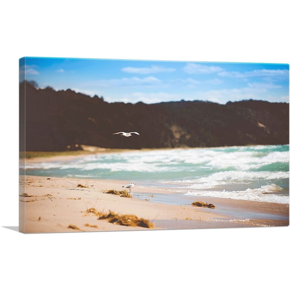 ARTCANVAS Seagulls Flying Walking on a Beach Canvas Art Print - Size: 12" x 8" (0.75" Deep)