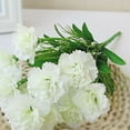 thumbnail image 4 of BAETEUY 1 Bouquet Artificial Carnation Exquisite Non-fading 10 Heads Mother Day Gift Simulation Flower for Home, 4 of 8
