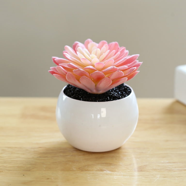 unpotted artificial succulents 11 Pcs Mini Artificial Succulents Picks Unpotted Faux Succulent Assortment  in Flocked Green in Different Type Different Size Succulents